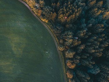 aerial photography of dirt road between forest and grass field during daytime