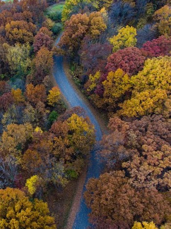 aerial photography of empty road