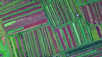 Aerial Photography of Farm