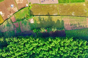 Aerial Photography of Farmland