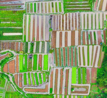 Aerial Photography of Field