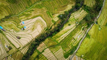 Aerial Photography Of Field