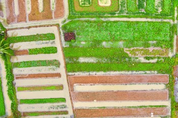 Aerial Photography of Field