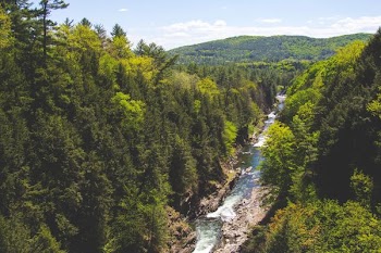 aerial photography of flowing river in between pine trees overlooking green mountain under blue sky at daytime