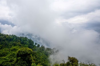aerial photography of foggy mountain