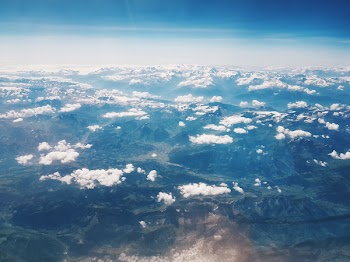 Aerial Photography of Forest