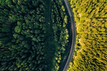 Aerial Photography Of Forest