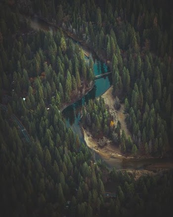 aerial photography of forest and river