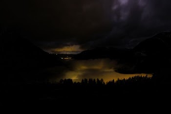 aerial photography of forest during nighttime