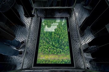 aerial photography of forest painting surrounded by people