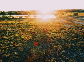 aerial photography of grass field golden hour photography