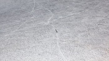 aerial photography of gray ground