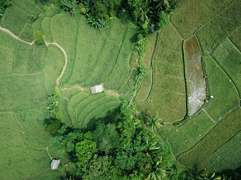 Aerial Photography of Green Field