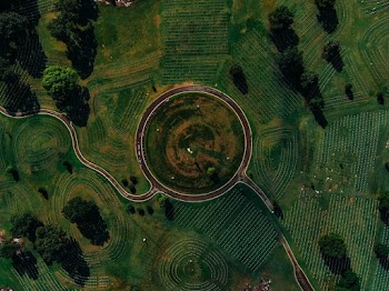Aerial Photography of Green Field
