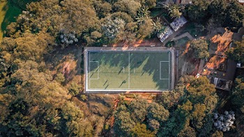 Aerial Photography of Green Field Surrounded by Trees