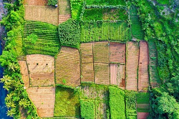 Aerial Photography of Green Fields