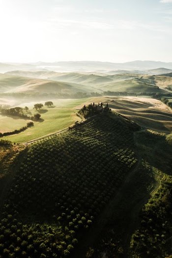 aerial photography of green fields