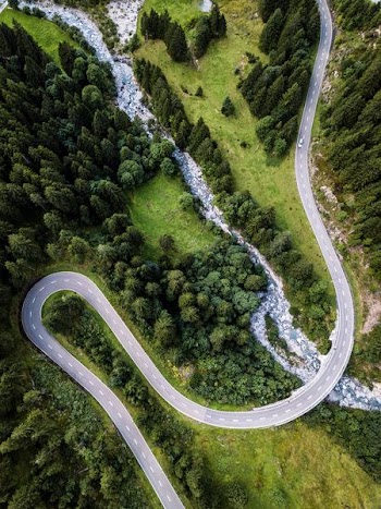 aerial photography of green forest