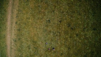 aerial photography of green grass