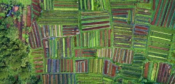 Aerial Photography of Green Grass Field
