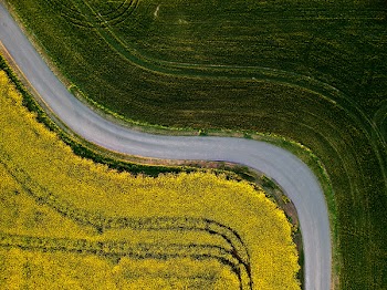 Aerial Photography of Green Grass Field