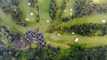 Aerial Photography of Green Grass Field