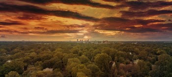Aerial Photography of Green-leafed Trees during Golden Hour
