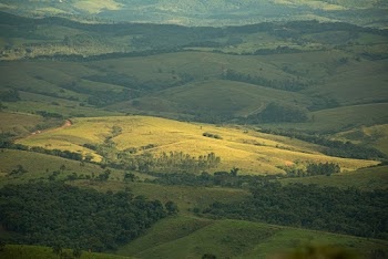 Aerial Photography of Green Mountains