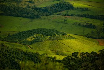 Aerial Photography of Green Open Field and Mountain