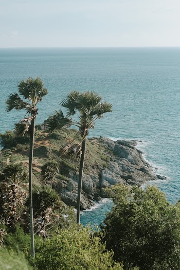 Aerial Photography of Green Trees On A Hill Surrounded By The Blue Sea