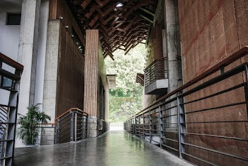 Aerial Photography of Handrails With Pathways
