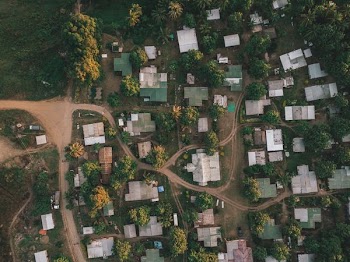 aerial photography of houses and trees