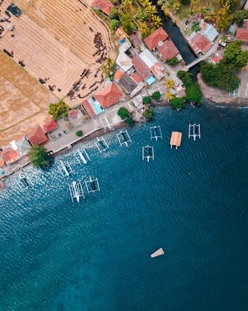 Aerial Photography of Houses Near Body of Water With Boat