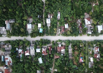 Aerial Photography of Houses Surrounded by Green Trees