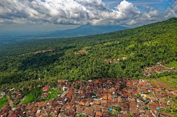 Aerial Photography of Houses Surrounded by Green Trees Under White Clouds and Blue Sky