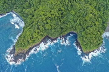 Aerial Photography of Island