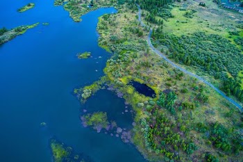 aerial photography of island