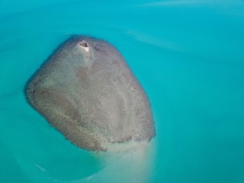 aerial photography of island and body of water