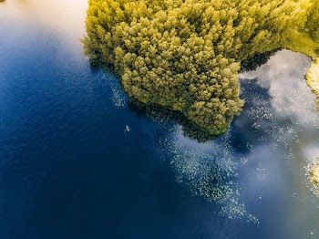 aerial photography of island surrounded by body of water