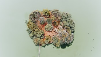 Aerial Photography Of Islet
