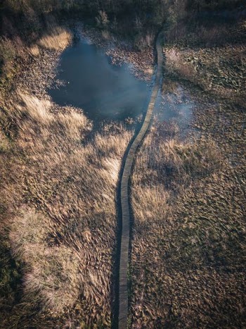 aerial photography of lake wood bridge