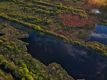 Aerial Photography of Landscape