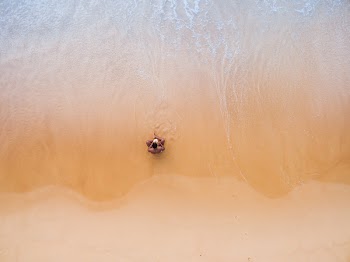 Aerial Photography of Man Sitting on Beach