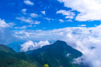 Aerial Photography of Mountain