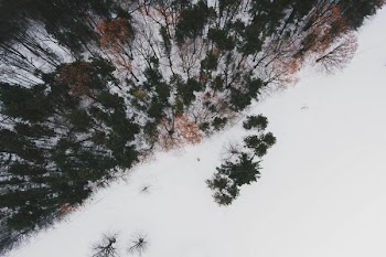 aerial photography of mountain