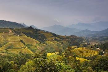 Aerial Photography of Mountain