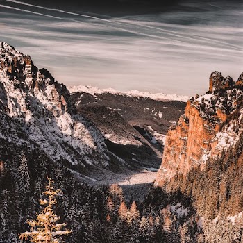aerial photography of mountain and forest