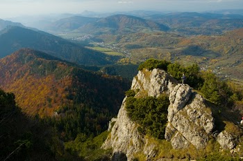 Aerial Photography of Mountain and Trees
