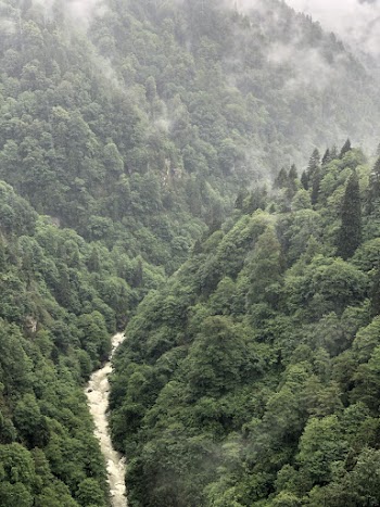 Aerial Photography of Mountain With Trees