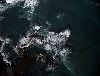 aerial photography of ocean